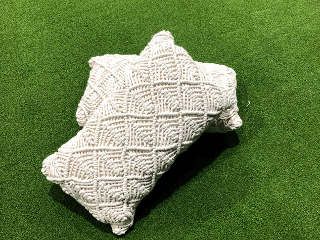Cream Willow Cushion