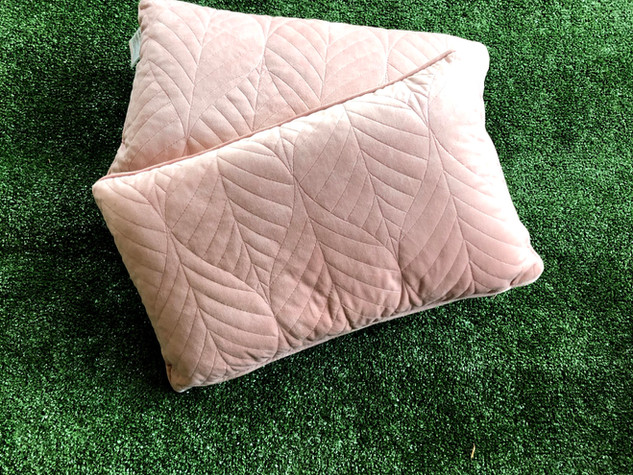 Pink Velvet Cushion