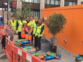 WORLD ENVIRONMENT DAY 2017