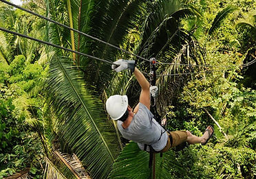 ziplining.jpeg