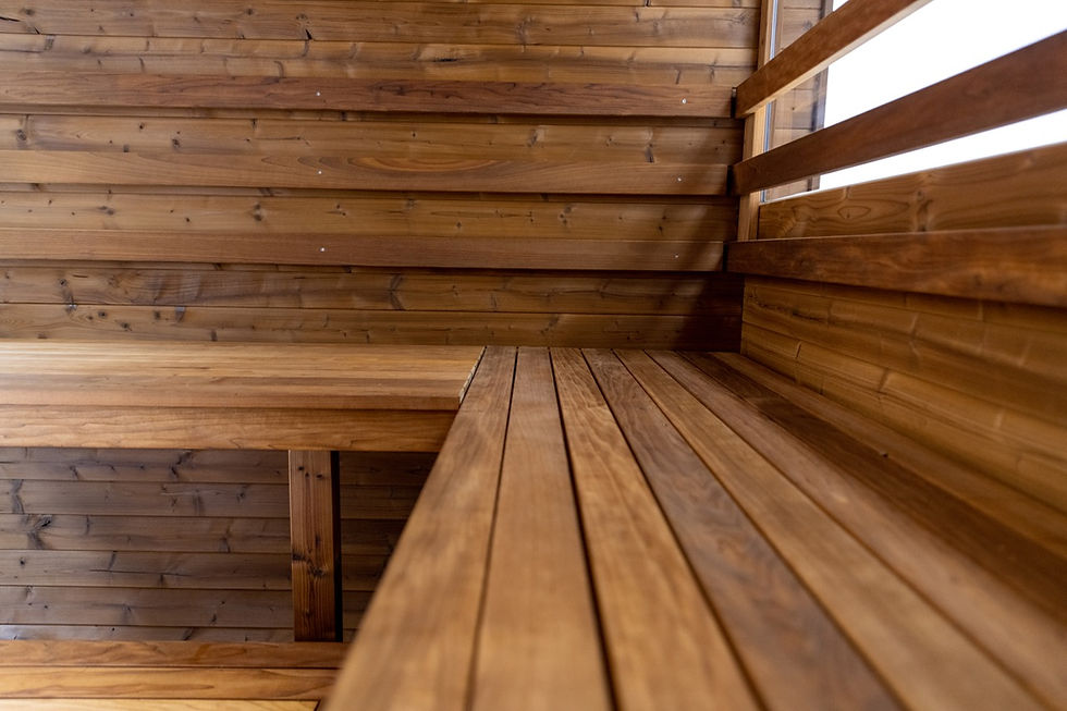 Thumbnail: Hekla Cube Sauna 160