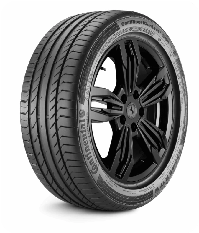 image 2423-(Compressify.io).webp