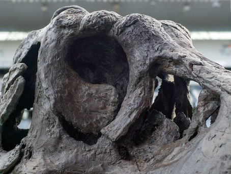 GRC sculpture by Unfound Creations NZ