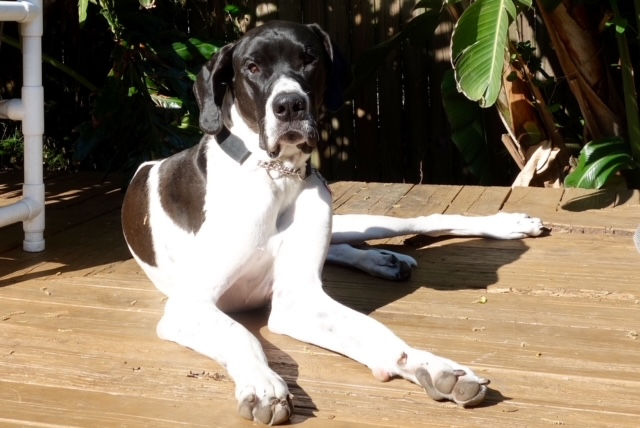 Gage getting his Vitamin D.