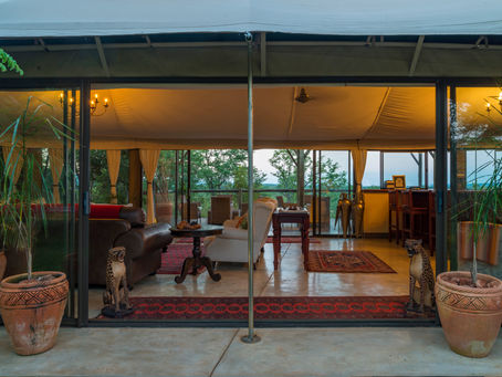 Rediscovering The Elephant Camp