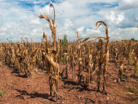 Disastrous Consequence – The Impact of Climate Change