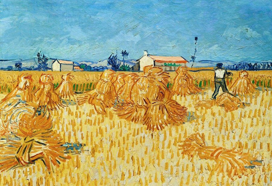 harvest in provence by van gogh