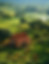 tranquil-countryside-farm-house-aerial-view.jpg
