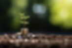 photorealistic-money-with-plant.jpg