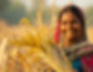 view-woman-working-agricultural-sector-celebrate-labour-day-women (1).jpg
