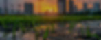 urban-renewal-construction-site-twilight-with-grass-sprouting-foreground-peaceful.jpg