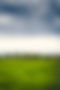 vertical-shot-beautiful-green-field-with-old-barn-visible-distance (1) copy.jpg