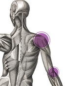 DM_1PNG.png