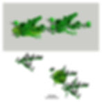 3D Color: Green Monochrome