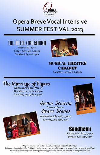 2013 OBVI poster