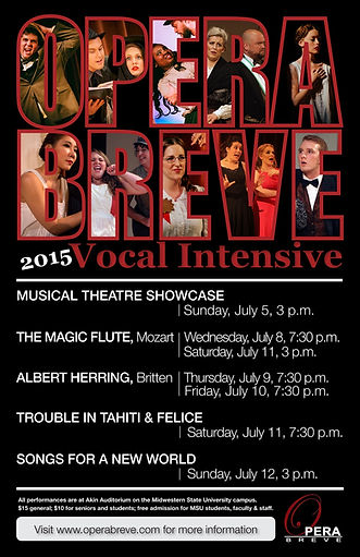 2015 OBVI poster
