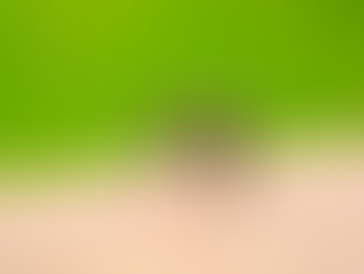 Cómo evitar la propagación del dengue