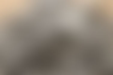 Semillas de girasol para una alimentación saludable