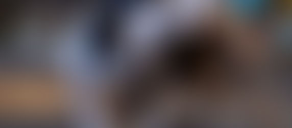 Por primera vez tres galgos tendrán abogada propia en un juicio por carreras clandestinas