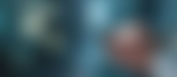 WhatsApp permitirá ocultar la hora de última conexión a contactos específicos