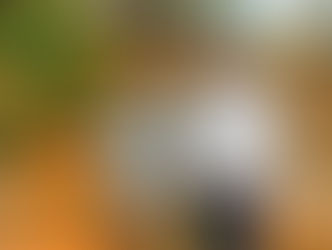 Mercado Libre y Banco Galicia ofrecerán créditos para comprar autos usados