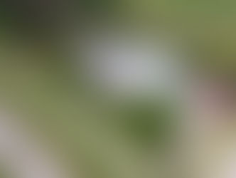 Crece la exportación argentina de suplementos dietarios