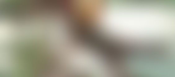 Alicia en el País de las Maravillas será re estrenado en el Centro Cultural San Martín