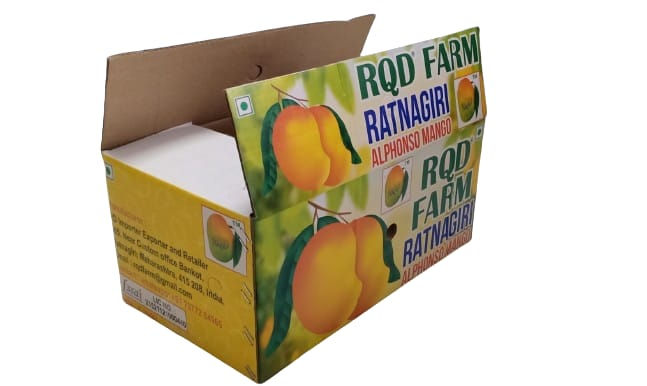 Box of 4 dozen farm-fresh Devgad Alphonso Mangoes Size C