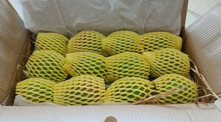 Box of farm-fresh Ratnagiri Alphonso Mangoes – JUMBO Size, neatly packed for delivery
