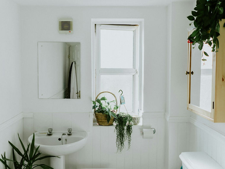 Tile & Ceramic Cleaner