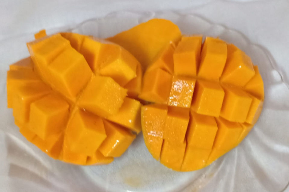 Juicy and aromatic Devgad Alphonso Mangoes ready for delivery from RQD Farm