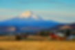 view-of-mount-hood.jpg