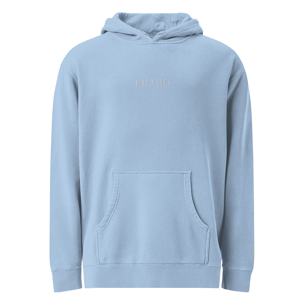 Thumbnail: LHABD Hoodie