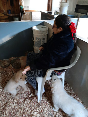 tender-paw-puppies3.jpeg