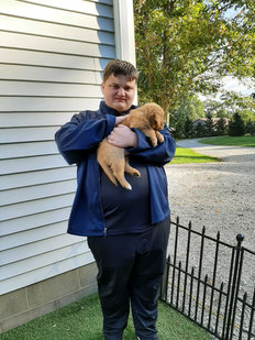 tender-paw-puppies1.jpeg