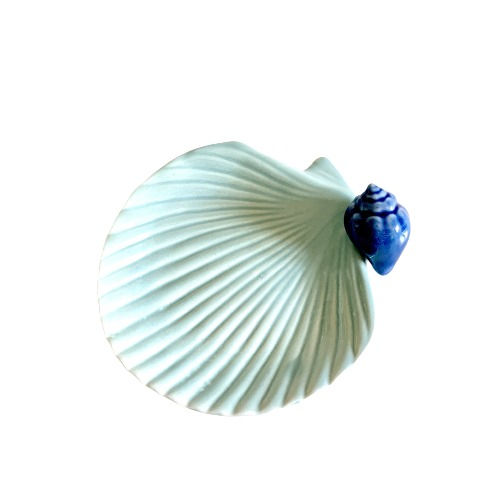 Recipiente concha azul