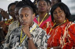 381ec8cb37c1f0f81e53d5ea44e3cb57