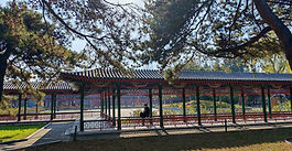 与自然相拥，感受创作的温暖与治愈