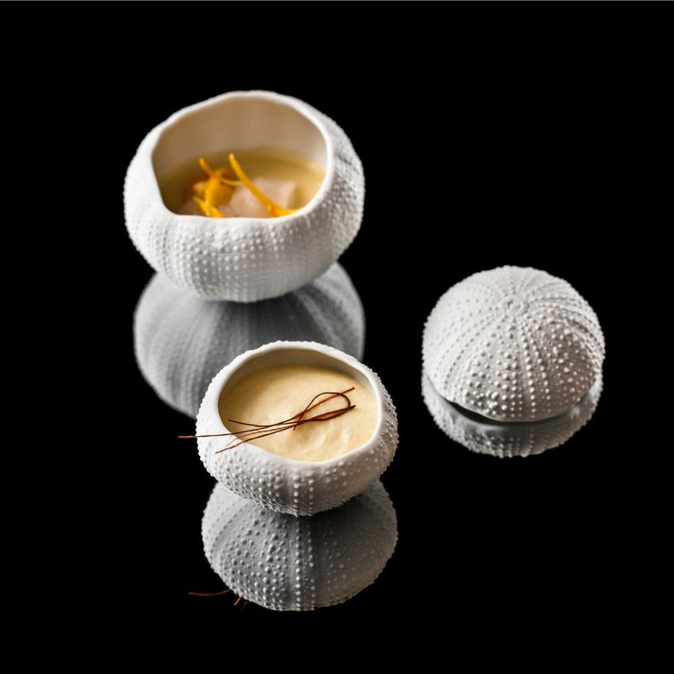 Thumbnail: Sea Urchin Gloss/Matte, 5.5 cm