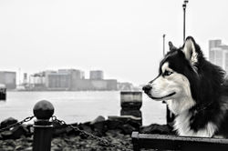 DSC_0029
