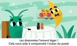les diatomées l'aiment léger-titre site web