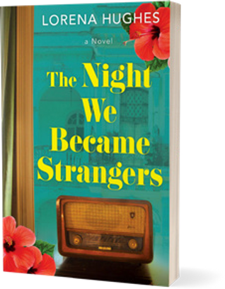 The Night We Became Strangers