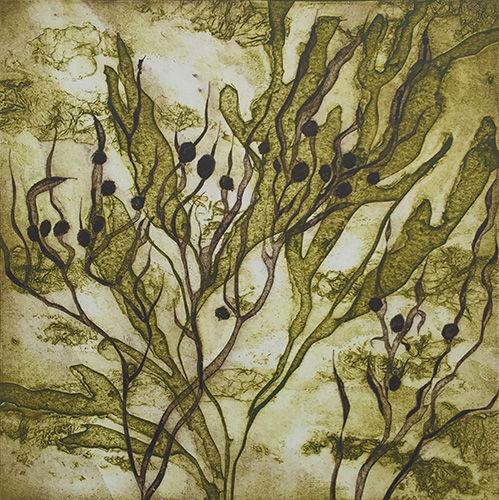 Floating Seaweed - Limited Edition Handprinted Collagraph