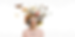Banner HEader Website Vlinder(3).png