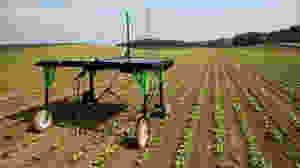 Artificial Intelligence in Agricuture