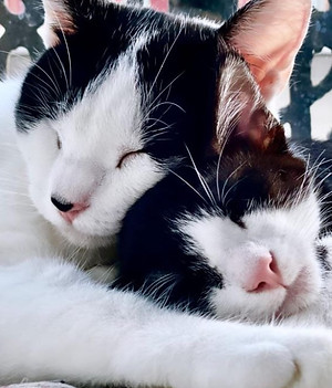 Xouba & Relámpago Markinhos