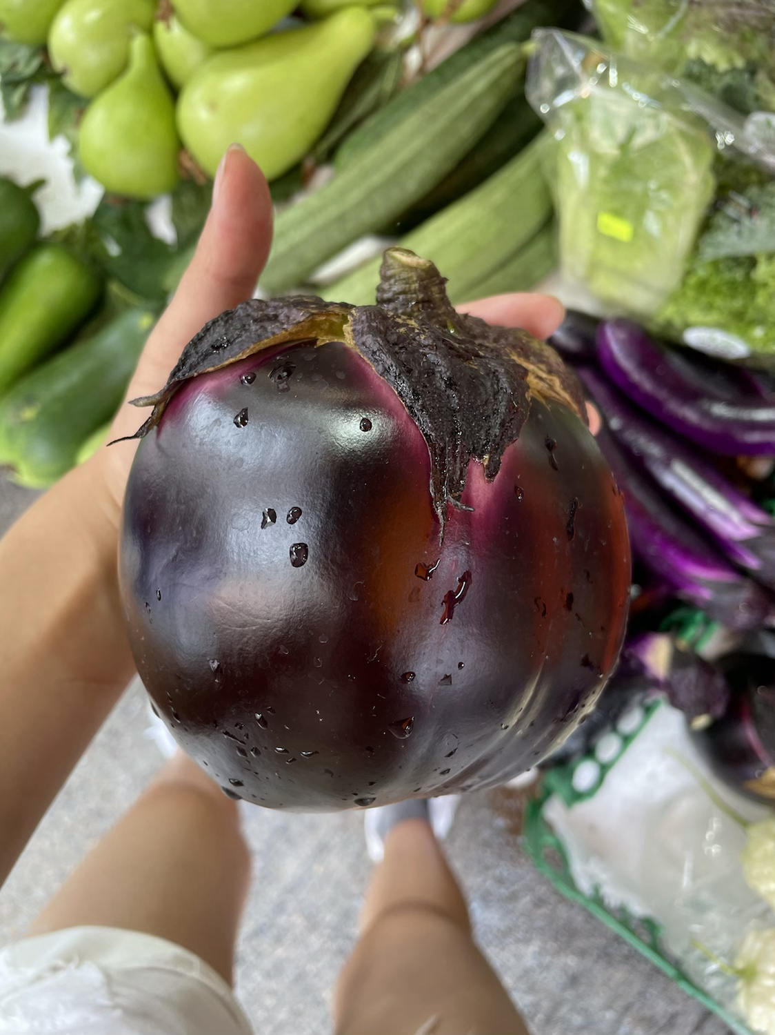 本地新鮮即割圓茄(斤)