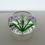 Thumbnail: Crocus Starcut Faceted Traditional Paperweight