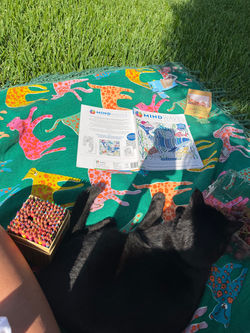 In my backyard with my cats