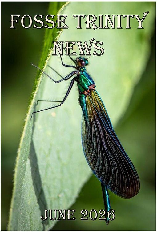 ftn-june.png